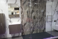 Walk in shower with accent wall panels